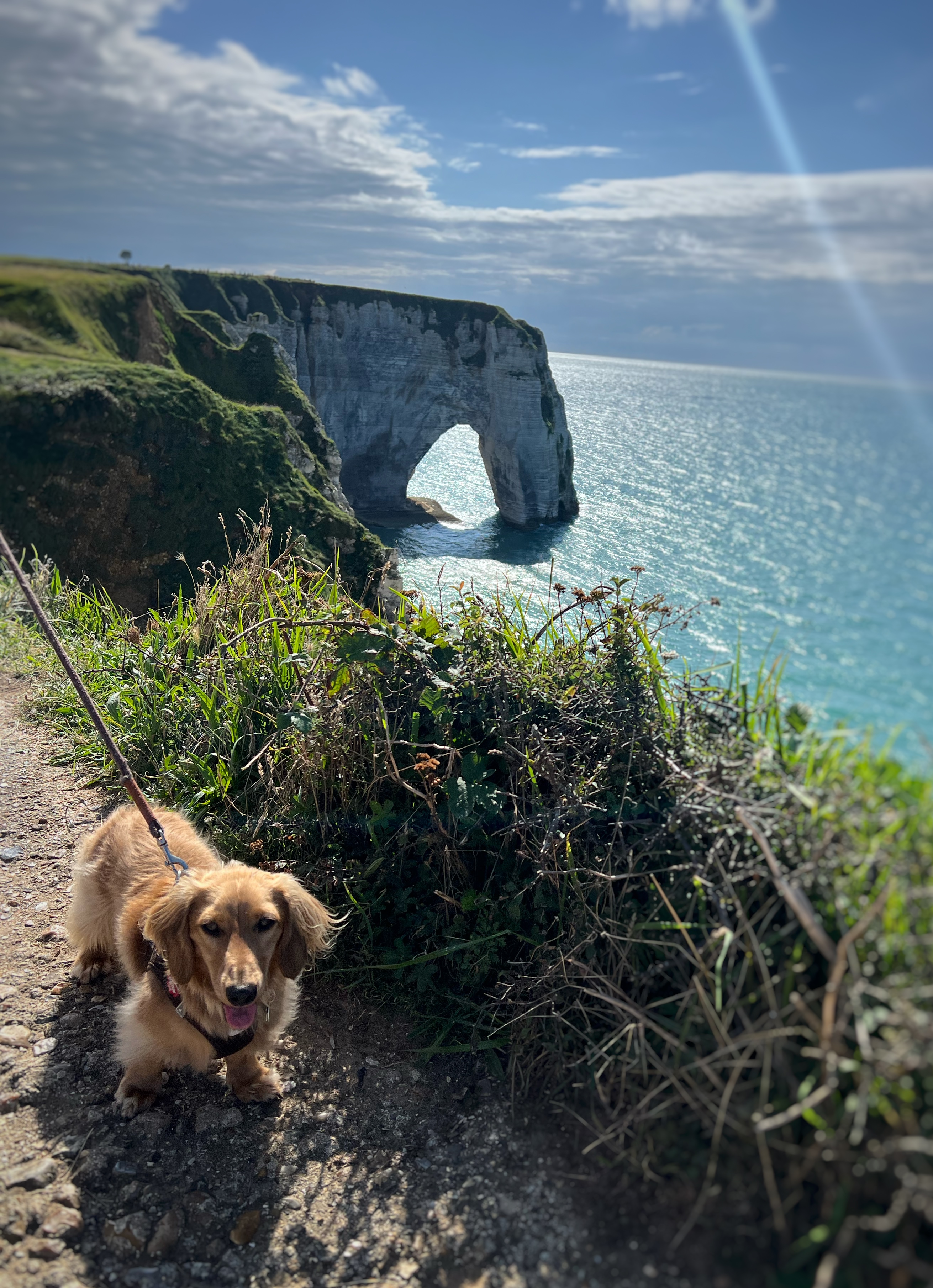 Etretat, Normany Cliffs In France